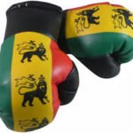 Rasta Mini Boxing gloves - lion