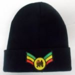 Rasta Beanie - WB5 lion
