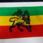 Rasta Hand Towel - Lion Of Judah 1