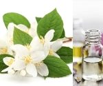 Essential Body Oil - Jasmine
