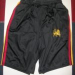 Rasta Kids Shorts - Lion