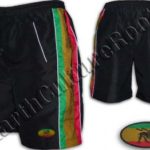 Rasta Board Shorts - lion S220