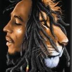 Bob Marley Blanket - Profile