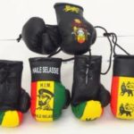 Rasta Mini Boxing gloves - Him