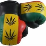 Rasta Mini Boxing gloves - leaf