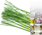 Essential Oil -  Lemon Grass