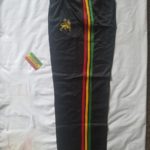 Rasta kids Pants - ecr lion