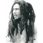 Bob Marley Flag - Profile