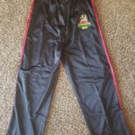 Rasta Pants - ecr lion 1