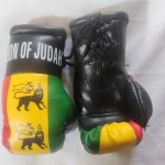 Rasta Mini Boxing Glove - Lion Of Judah 1