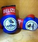 Mini Boxing Glove - Belize
