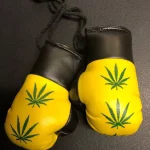 Rasta Mini Boxing Glove - Leaf 2