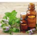 Essential Body Oil - Peppermint