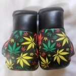Rasta Boxing Glove - Leaf 2